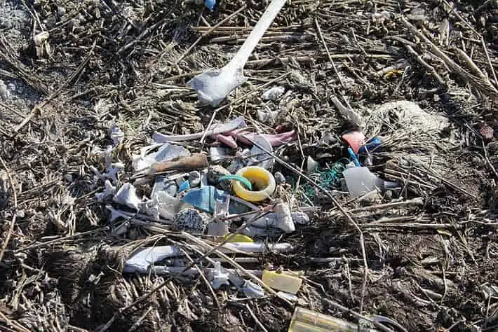 Plastic Straws Environmental Impact - Why Are Straws Bad?