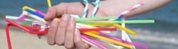 Envrionmental Impact Plastic Straws