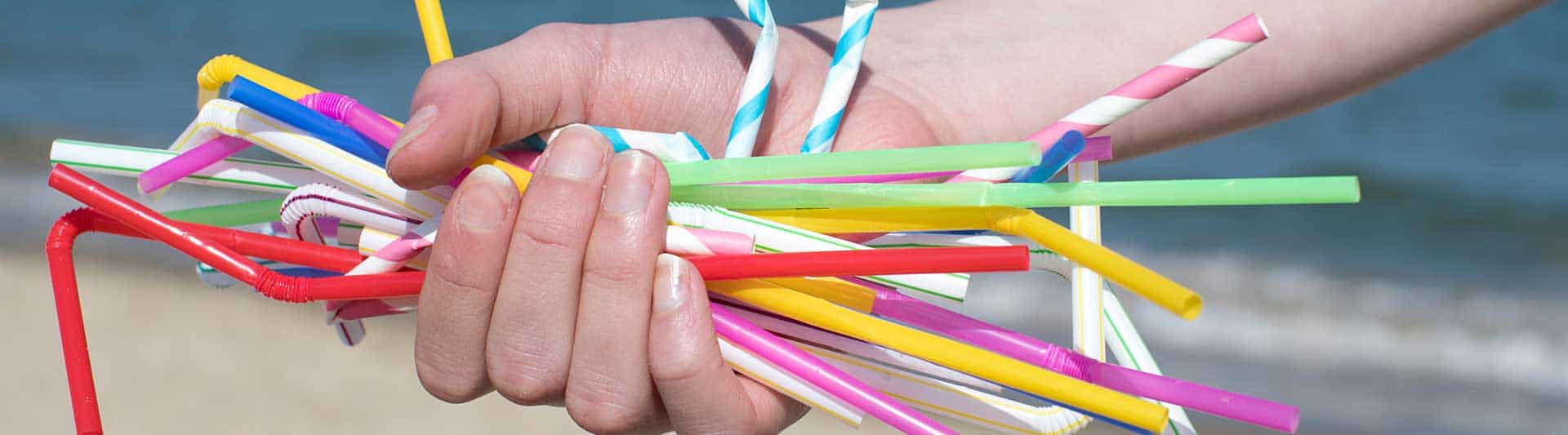 Plastic Straws Environmental Impact - Why Are Straws Bad?