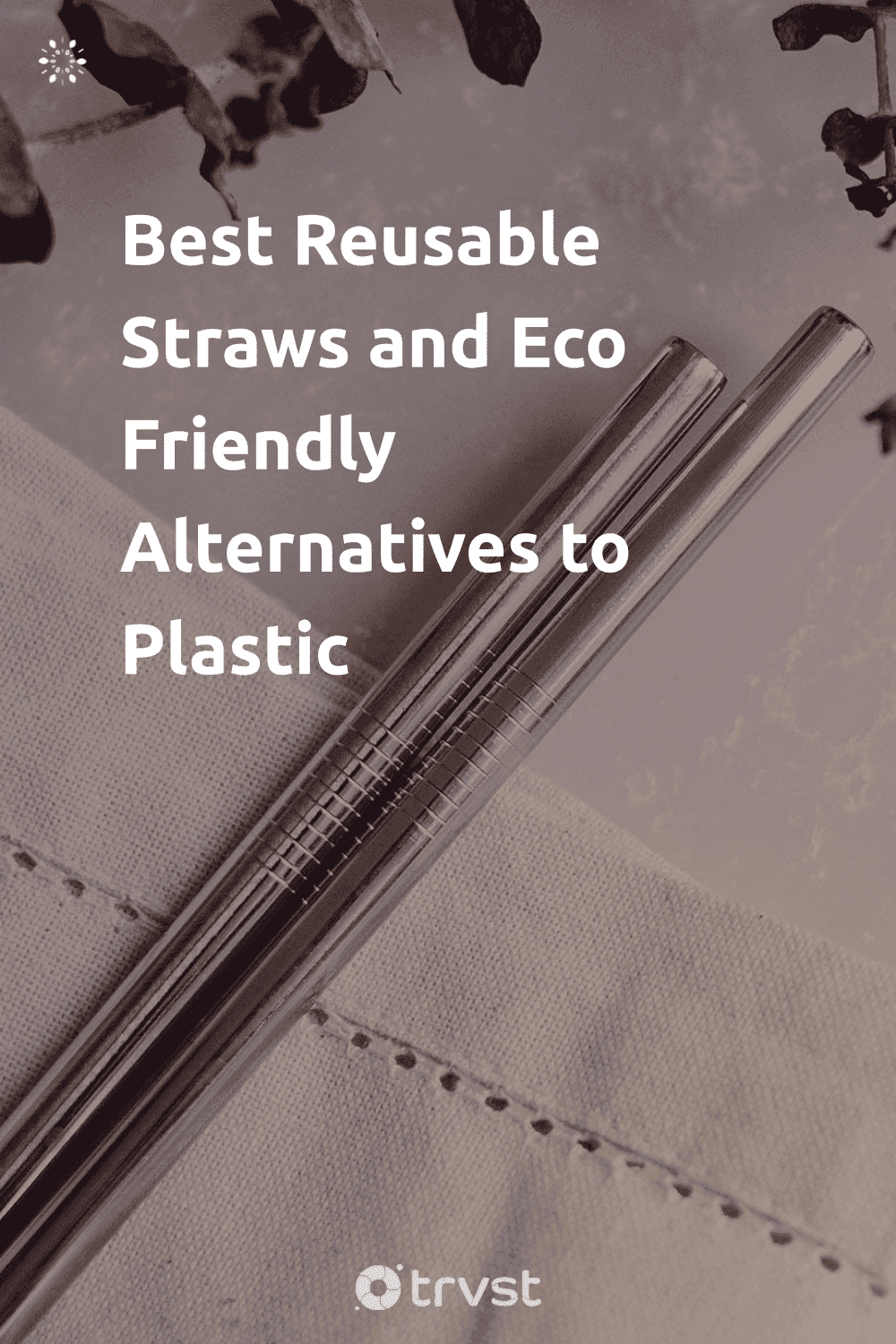 Pinterest Image for Best Reusable Straws and Eco Friendly Alternatives to Plastic