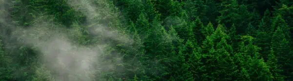 Leadership qualities