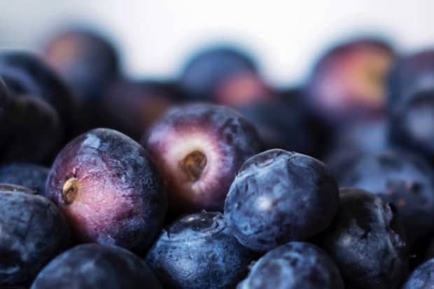 How To Raise Awareness for Food Waste?