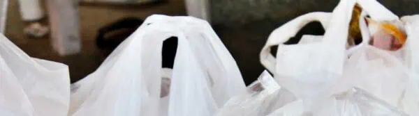 Differences Between Degradable & Biodegradable Plastic Bags