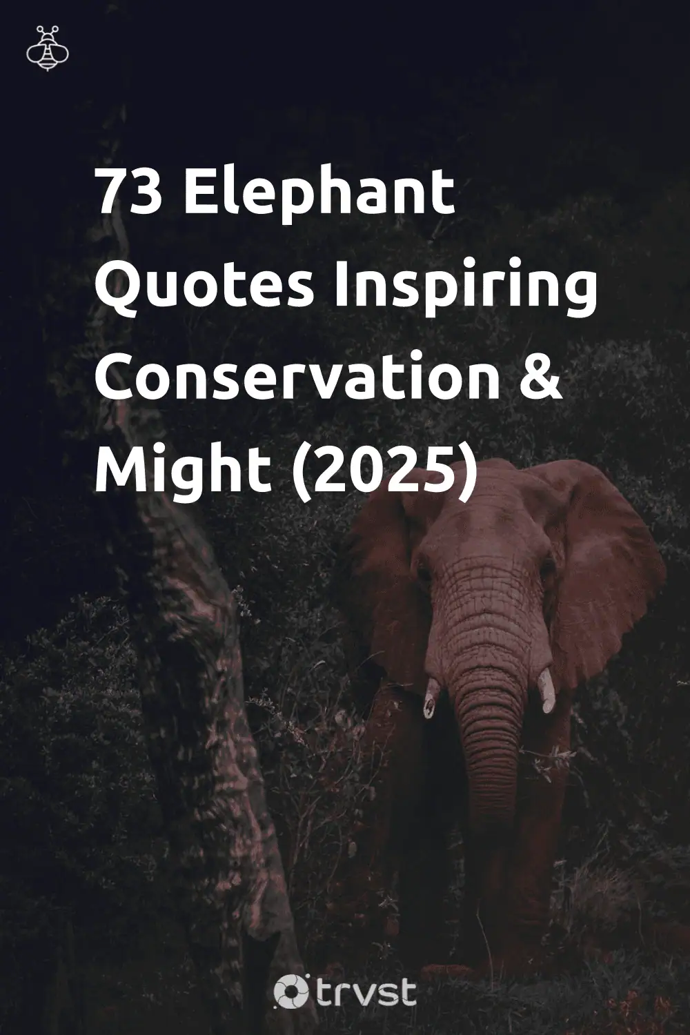 Pinterest Image for 73 Elephant Quotes Inspiring Conservation & Might (2025)