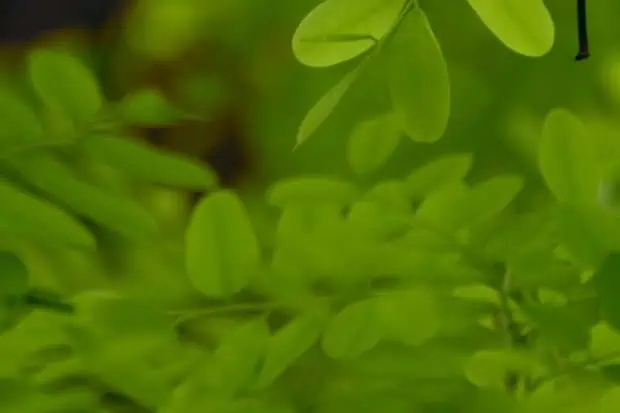 Giving Back to a Circular Economy