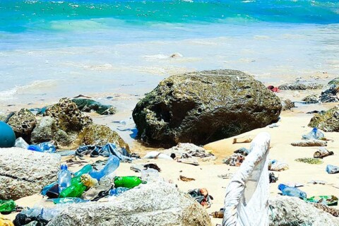 Business Moves to Reduce Plastic Waste