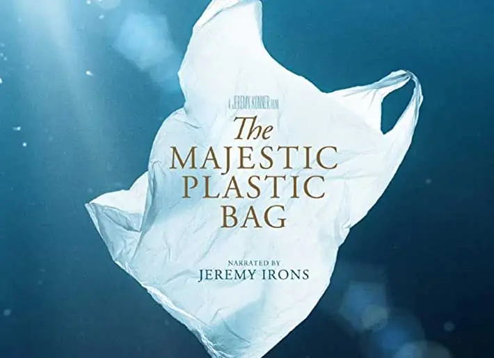 Going green: Morocco bans use of plastic bags | Environment News | Al  Jazeera