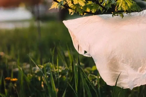 What Happens to Our Plastic Waste?