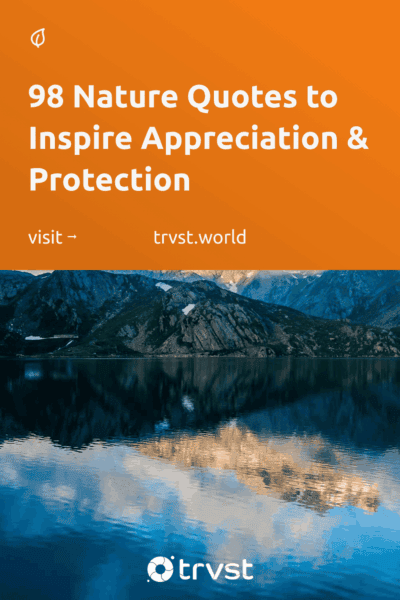 Pinterest Image for 98 Nature Quotes to Inspire Appreciation & Protection