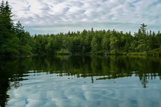 Why Is Water Conservation Important?