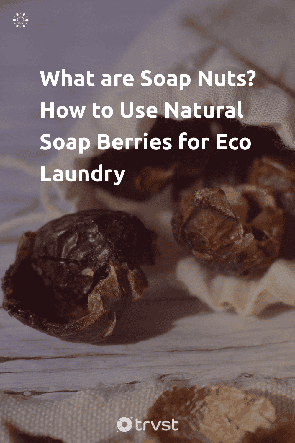 Pinterest Image for What are Soap Nuts? How to Use Natural Soap Berries for Eco Laundry