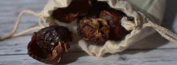 Soap Nuts