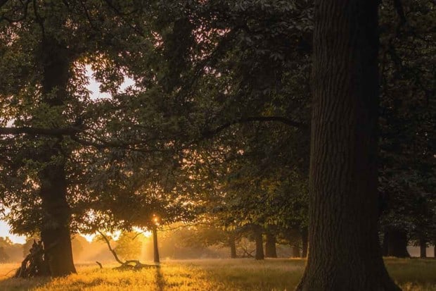 What Are Enneagram Triads?
