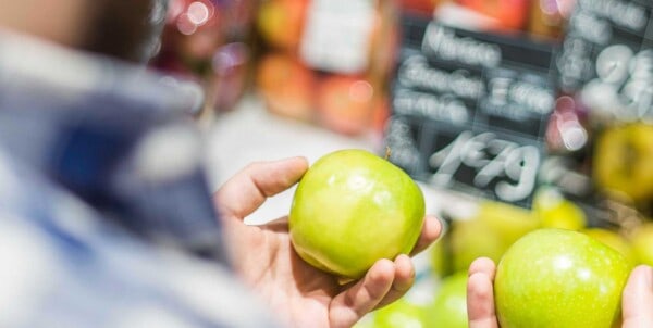 Food Waste