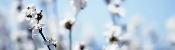 Sustainable Fashion