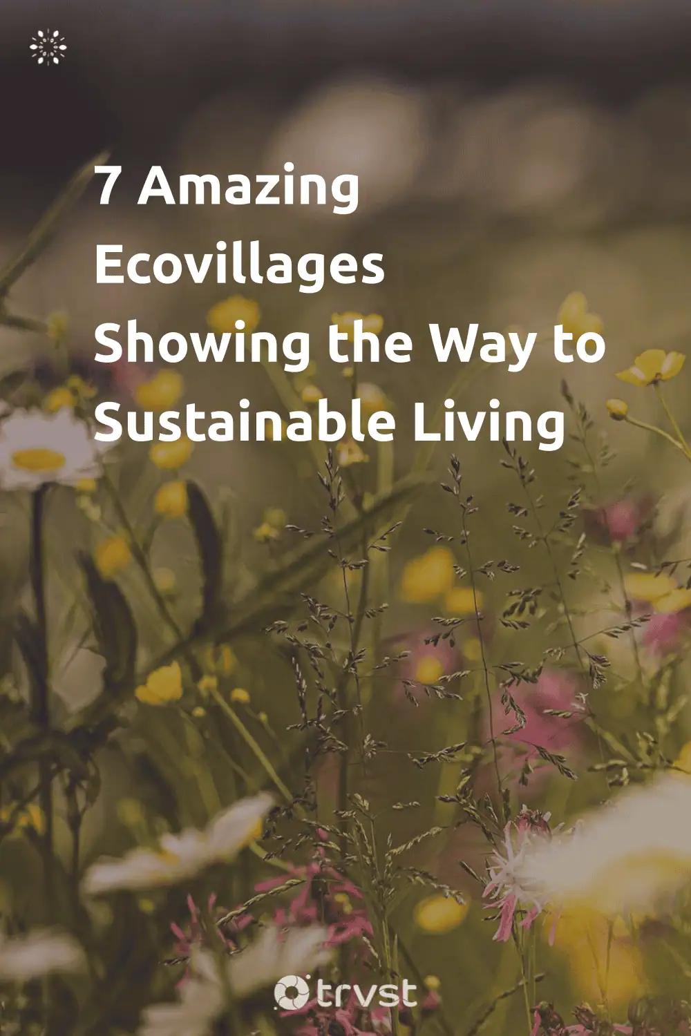 Pinterest Image for 7 Amazing Ecovillages Showing the Way to Sustainable Living