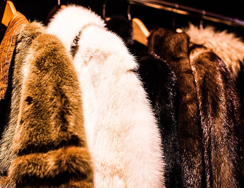 What is Faux Fur Fabric? Sustainability, Pros and Cons