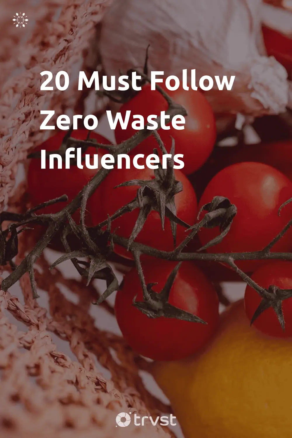 Pinterest Image for 20 Must Follow Zero Waste Influencers