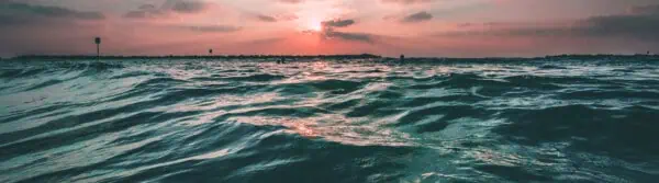 World Water Week
