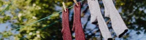 Best Organic Cotton Socks