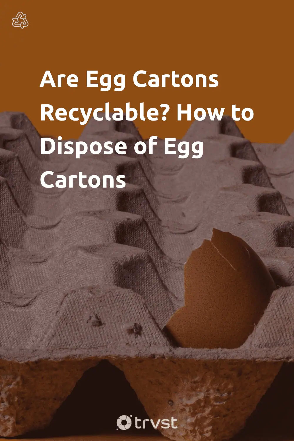 Pinterest Image for Are Egg Cartons Recyclable? How to Dispose of Egg Cartons