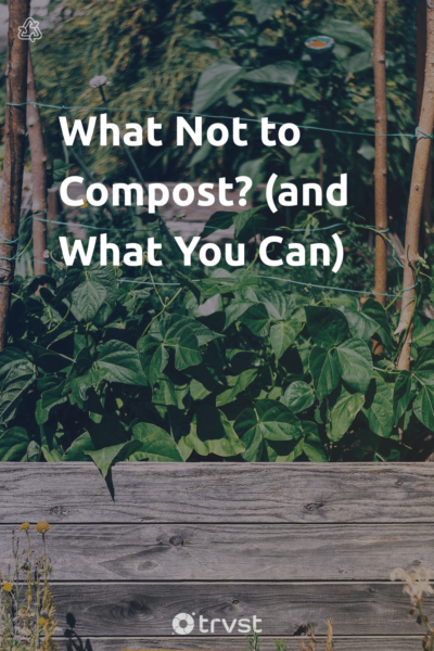 Pin Image Portrait What Not to Compost? (and What You Can)