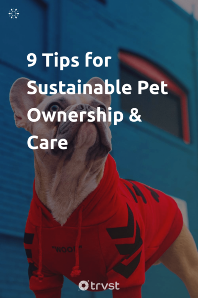 Pin Image Portrait 9 Tips for Sustainable Pet Ownership & Care