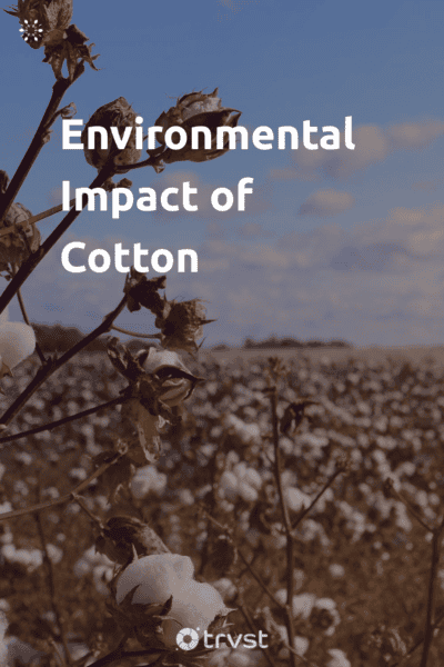 Pin Image Portrait Environmental Impact of Cotton