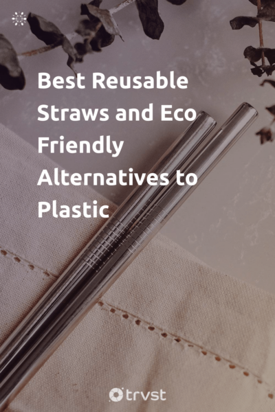Pin Image Portrait Best Reusable Straws and Eco Friendly Alternatives to Plastic