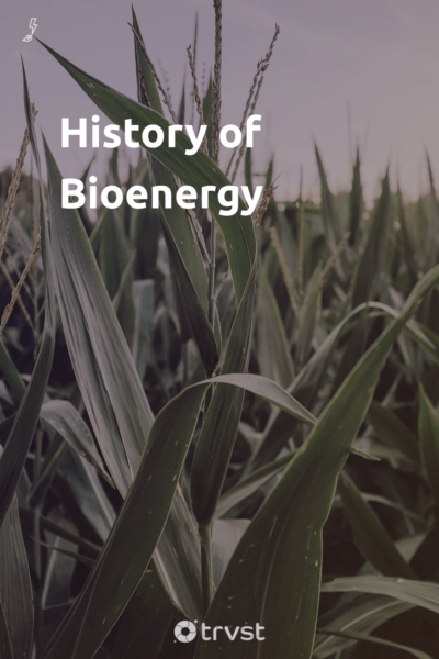 Pin Image Portrait History of Bioenergy