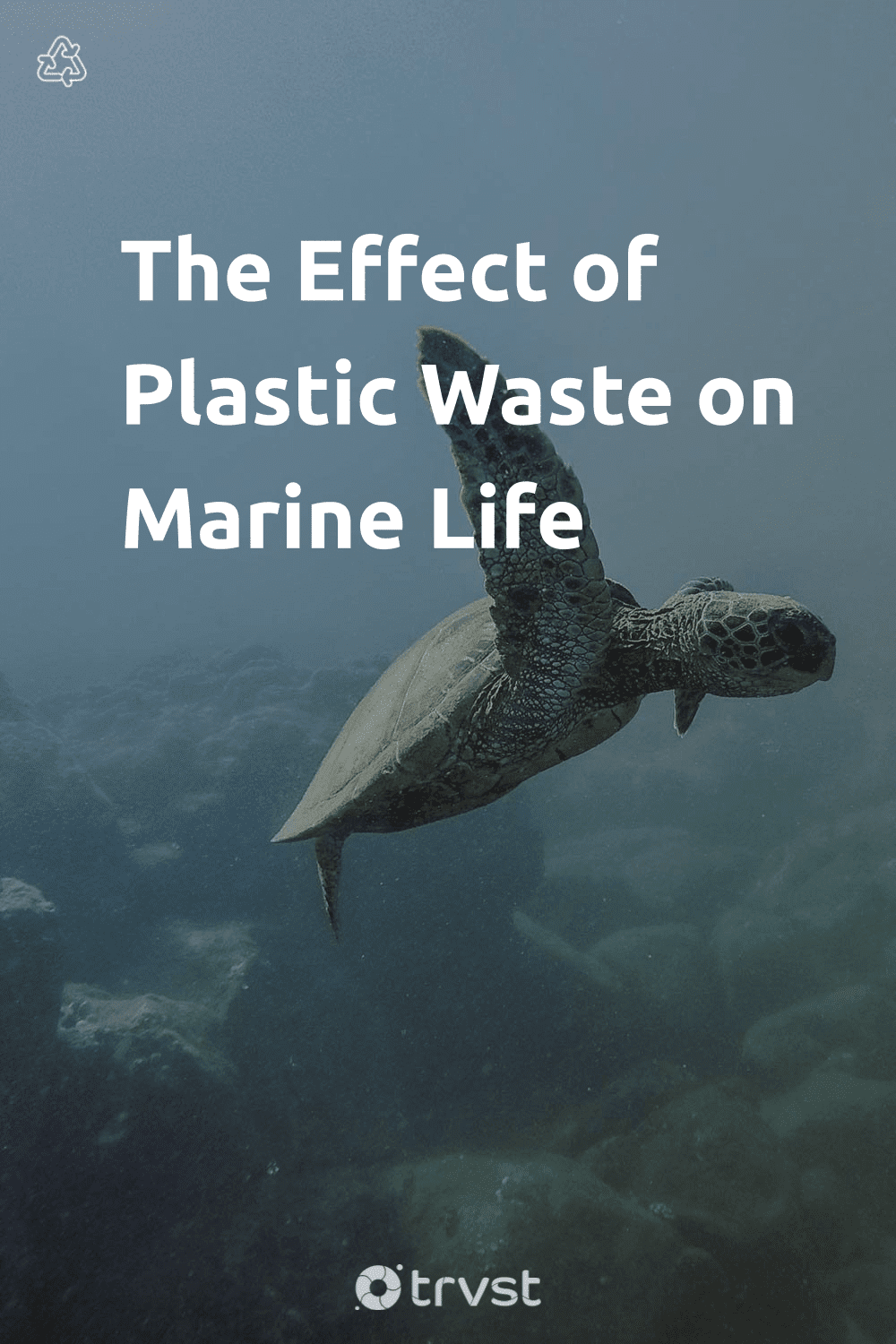 case study of plastic pollution