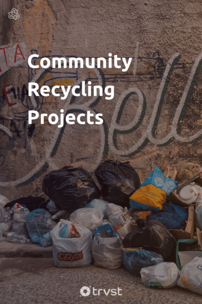 Pin Image Portrait Community Recycling Projects