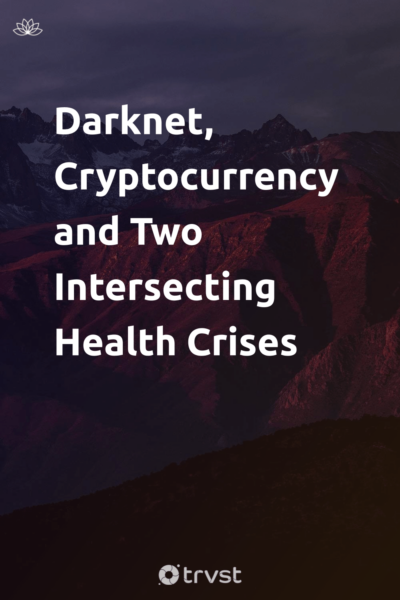 Pin Image Portrait Darknet, Cryptocurrency and Two Intersecting Health Crises