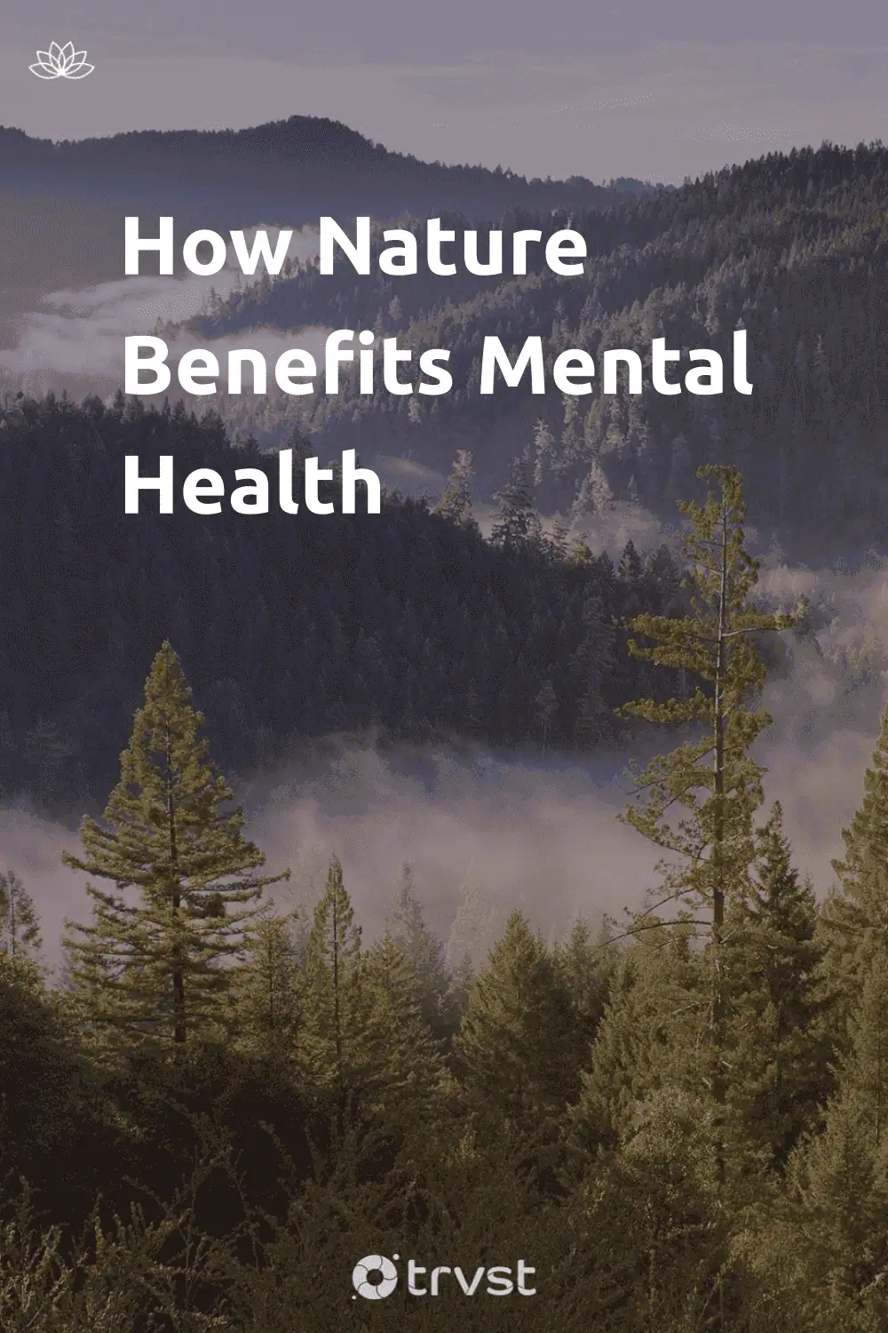 Pinterest Image for How Nature Benefits Mental Health