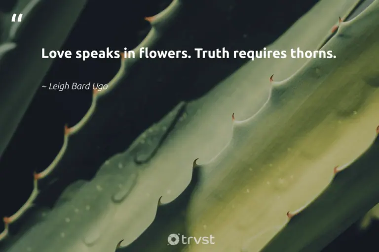 Cactus Ropes Quotes 34 Cactus Quotes About Prickles and Resilience