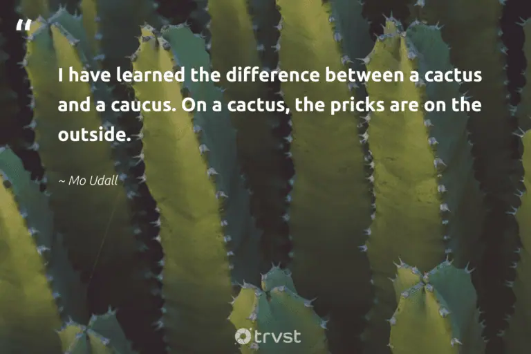 Cactus Ropes Quotes 34 Cactus Quotes About Prickles and Resilience