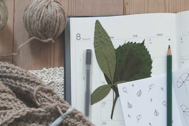 11 Best Eco-Friendly Planners and Diaries