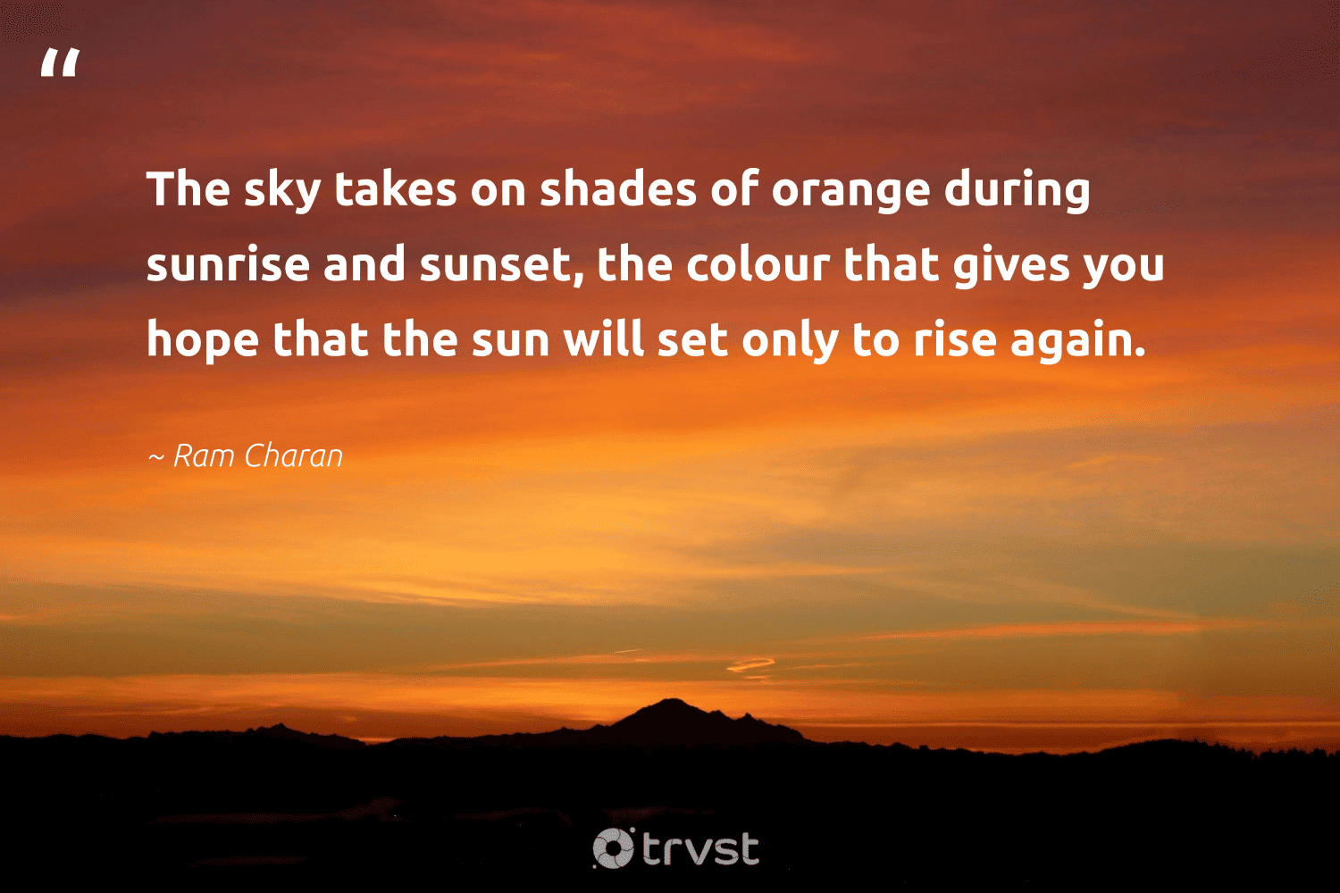 48 Orange Quotes to Inspire a Positive Outlook