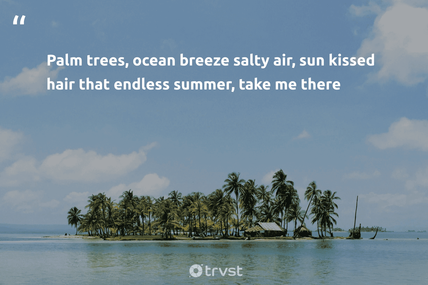46 Palm Tree Quotes to Inspire Chilled Moments and Beach Time