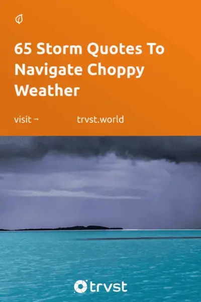 Pinterest Image for 65 Storm Quotes To Navigate Choppy Weather