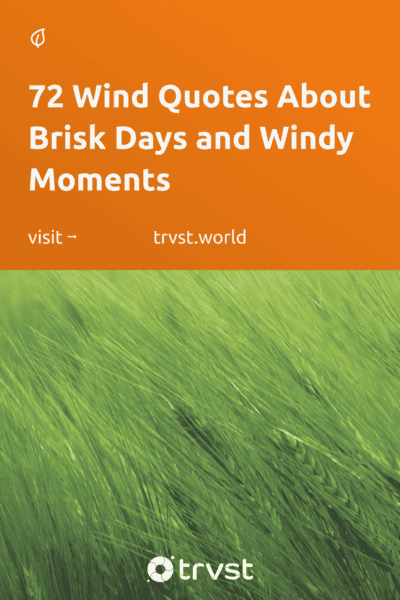 Pinterest Image for 72 Wind Quotes About Brisk Days and Windy Moments