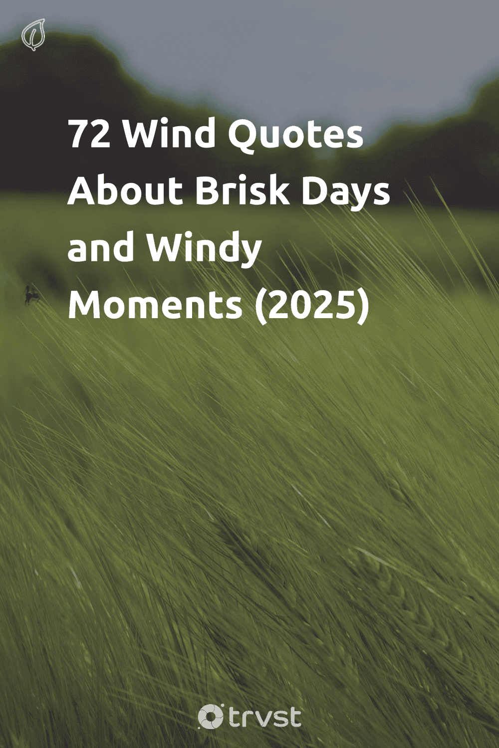Pinterest Image for 72 Wind Quotes About Brisk Days and Windy Moments (2025)