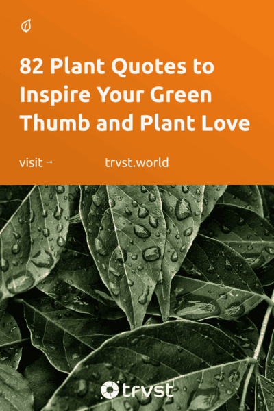 Pinterest Image for 82 Plant Quotes to Inspire Your Green Thumb and Plant Love