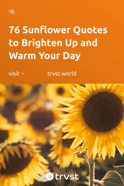 Pinterest Image for 76 Sunflower Quotes to Brighten Up and Warm Your Day