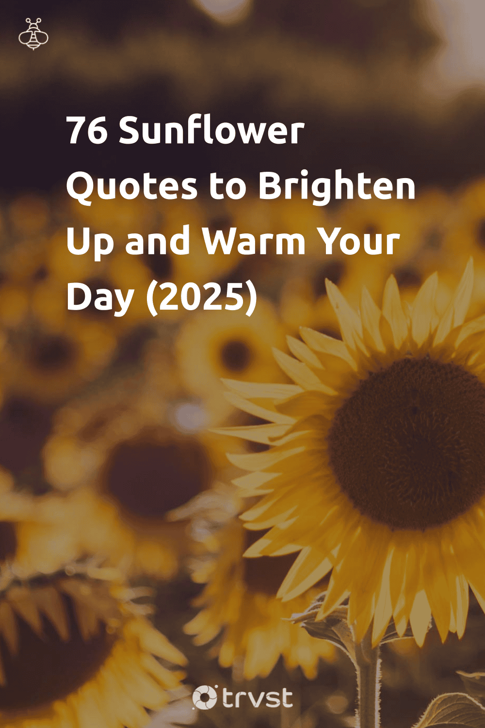 Pinterest Image for 76 Sunflower Quotes to Brighten Up and Warm Your Day (2025)