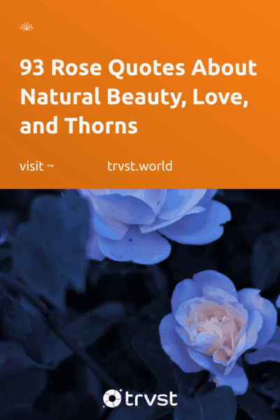 Pinterest Image for 93 Rose Quotes About Natural Beauty, Love, and Thorns