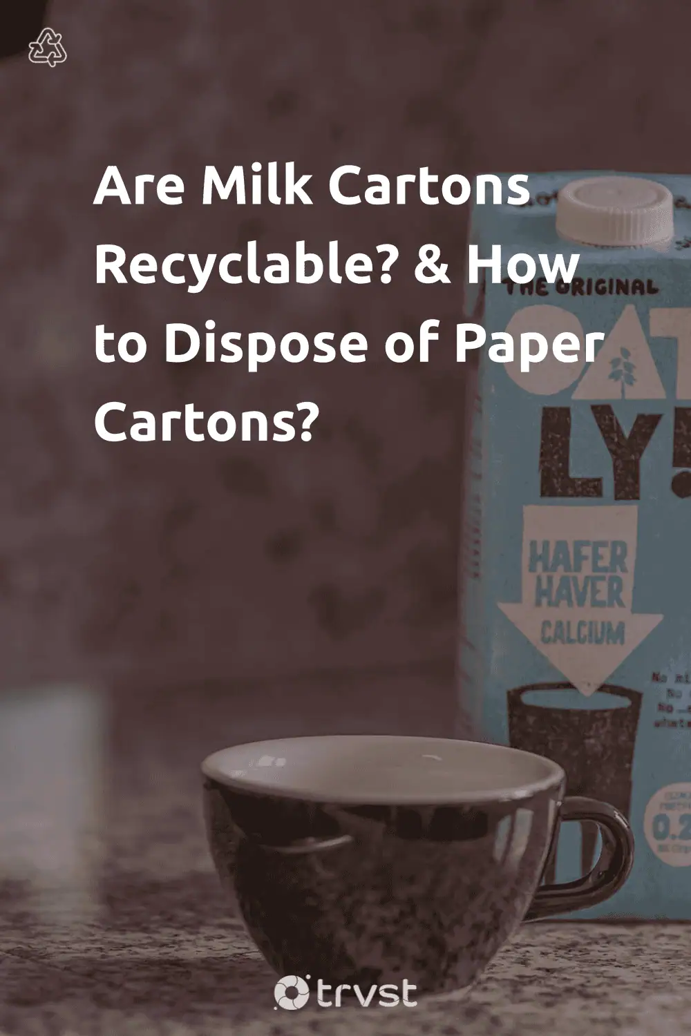 Pinterest Image for Are Milk Cartons Recyclable? & How to Dispose of Paper Cartons?