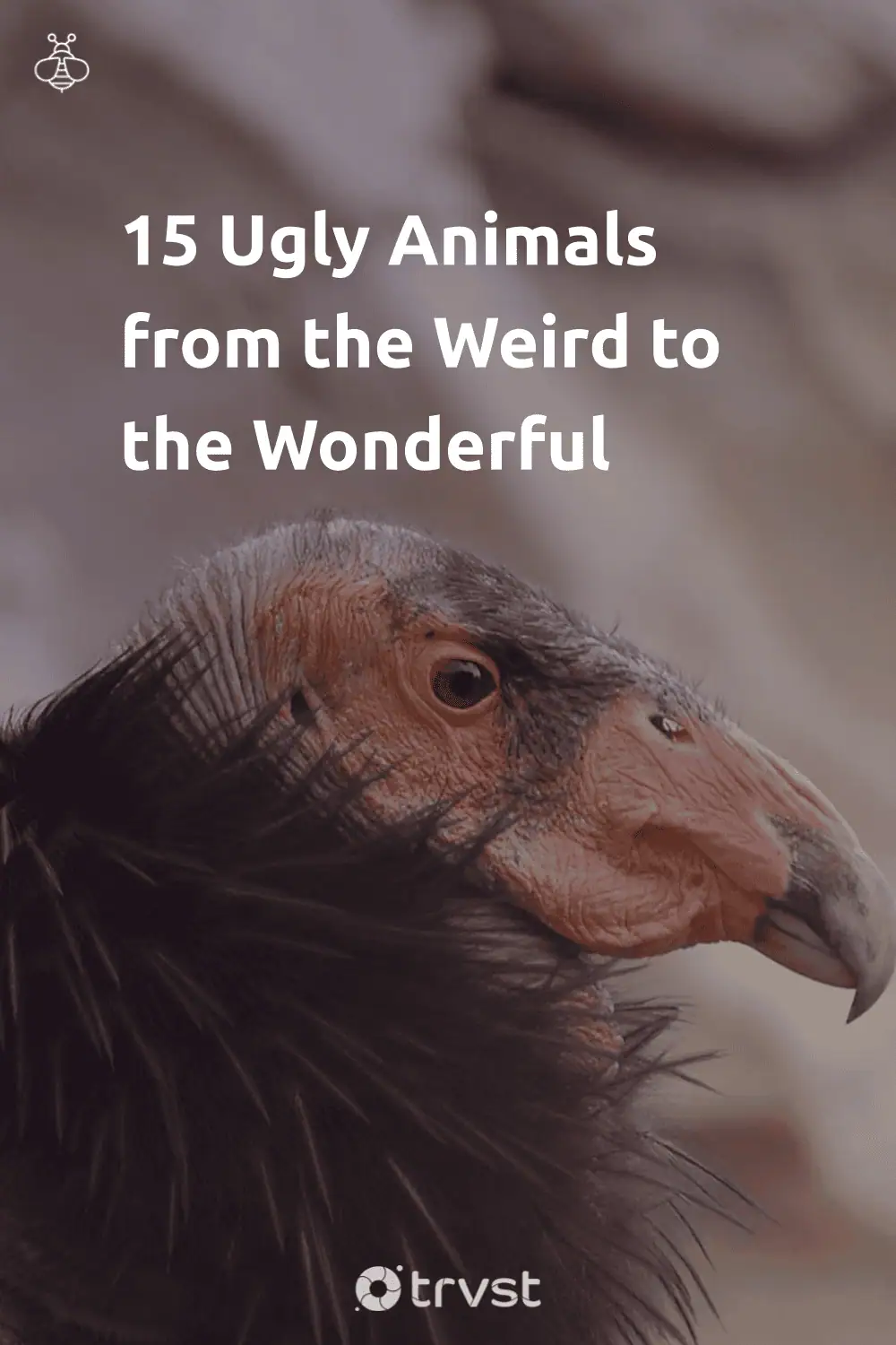 Pinterest Image for 15 Ugly Animals from the Weird to the Wonderful