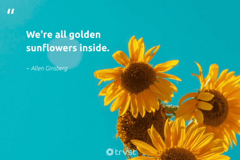 "We're all golden sunflowers inside." -Allen Ginsberg #trvst #quotes #wildernessnation #getoutside #sunflower #sunflowerlove #sunflowers #sunflowerphotography 