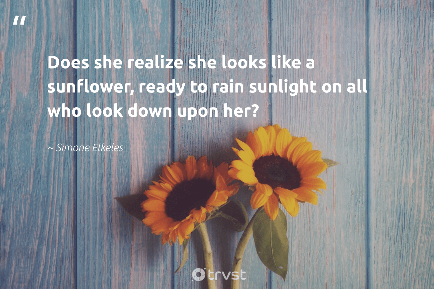 48 Sunflower Quotes to Brighten Up Your Day and Inspire a Smile